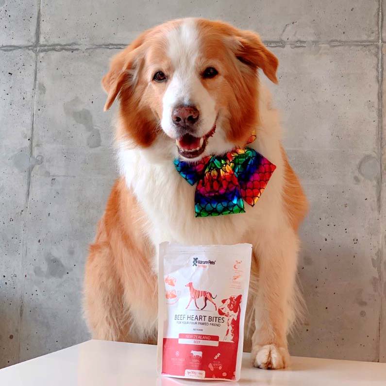 Dog Beef Heart Topper *NEW* Korure Pets